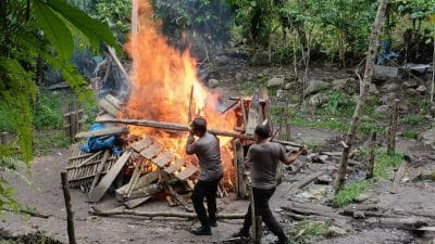 Polisi Bakar Arena Judi Sabung Ayam Di Desa Bonto Raja Bulukumba