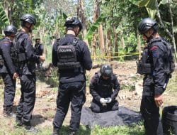 Granat Nanas Ditemukan Warga Gowa, Diledakkan Tim Gegana Polda Sulsel
