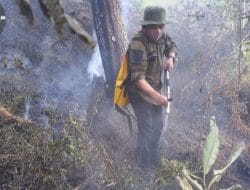 Kebakaran Pinus Loka Je’neponto, Ini Keterangan KPH Kelara