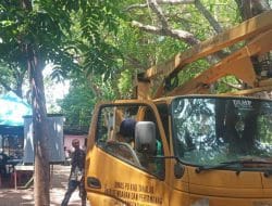 DLHP Takalar Evakuasi Dahan Pohon yang Akan Membahayakan Pengunjung di Alun-alun