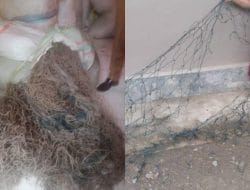 Warga Tolak Bantuan, di Duga Dana Desa 100 JT Lebih di Pakai Belanja Barang Bekas.