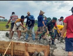 Atasi Kesulitan Warga, Babinsa Bergotong Royong Dalam Pengecoran Jembatan Jalan Tani