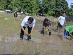 Pj.Bupati Takalar Kunjungi Petani Sekaligus Ikut Tanam Padi, Berikut Begini Langkah Setiawan Aswad Mengatasi Kurangnya Ketersediaan Pupuk