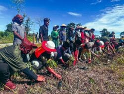 Dimediasi Kapolres Buru, PT Inagro Bersama Masyarakat Adat Buru Lakukan Ritual Tanam Perdana