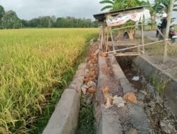 Diduga Gagal Perencanaan, Lakindo Desak APH Periksa Pelaksana Proyek P3A-TGAI Yang Terbongkar