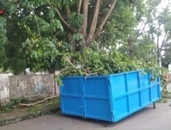 Dinas Lingkungan Hidup Takalar Siaga Tangani Pohon Tumbang,  Berikut Ungkapan Hj. Fatmawati