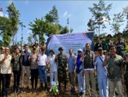 Kolaborasi Mahasiswa MSIB, DLHK Sulsel, dan Pemda Takalar Sukseskan Hari Menanam Pohon Nasional di Desa Kale Ko’mara