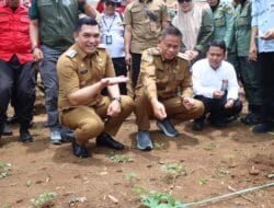 Tingkatkan Produktivitas Lahan, Pj. Gubernur Sulsel bersama Pj. Bupati Takalar lakukan Penanaman Serentak Agroforestri Pangan