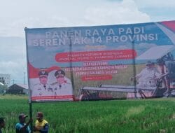 Besok Presiden Prabowo Saksikan Panen Raya Padi Serentak di 14 Provinsi, Takalar Jadi Titik Fokus di Sulsel