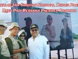 Takalar Jadi Sorotan Nasional, Bupati Panen Raya Padi Bersama Presiden Prabowo