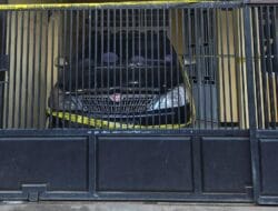 Teror Bom Molotov di Takalar: Mobil Pensiunan Polisi Nyaris Hangus, Pelaku Diburu Polisi