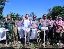 Wabup Takalar Panen Raya Jagung Bersama Forkopimda: Dorong Produktivitas dan Ketahanan Pangan