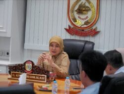 Aliyah Mustika Ilham Dukung Transformasi Digital, Utamakan Alur Pemerintahan