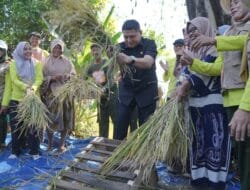 Lewat “Abbulo Sibatang” : Pemkot, Petani dan Penyuluh Siap Genjot Produksi Padi