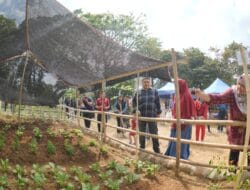 Pemkot Makassar Urban Farming, RT/RW Diminta Bergerak