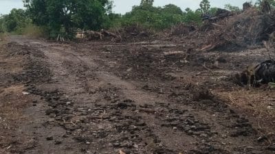 Kades Laikang Bantah Ada Kerjasama dengan Perusahaan Tambak, Warga Justru Ungkap Fakta Lain
