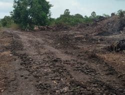 Warga Laikang Keluhkan Jalan Alternatif Laikang–Puntondo Rusak Diduga Ulah Pengusaha, Begini Kata Kades