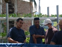 Urban Farming dan Diversifikasi Usaha, Tanjung Merdeka Jadi Role Model Ekonomi Hijau