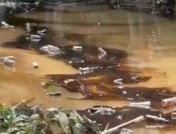 AKAT Soroti Kebocoran Pipa Minyak PT Vale di Towuti