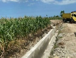 Proyek Rp29,8 Miliar D.I Pamukkulu Diduga Bermasalah, Wartawan Hampir Jadi Korban Penganiayaan