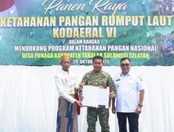 Dukung Program Ketahanan Pangan Nasional, Kodaeral VI bersama Bupati Takalar Panen Raya Rumput Laut di Desa Punaga