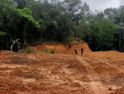 Keluarga Tersangka Dugaan Perambahan Hutan di Gowa Ajukan Penangguhan Penahanan Atas Dasar Kemanusiaan