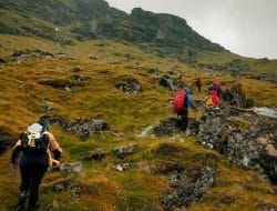 Propaganda Anti-WNA Disorot, Pemerintah Ingatkan Kewenangan Negara