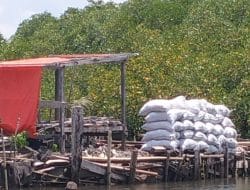 Mangrove Tanakeke Menipis, Warga Labbotallua Resah Hadapi Ancaman Abrasi