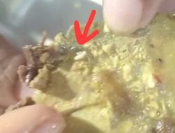 Viral! Belatung ditemukan Pada Menu Makanan Bergizi Gratis di SDN 166 Pinrang