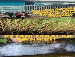 Puluhan Dapur MBG Tanpa IPAL, Sawah di Takalar Diduga Tercemar
