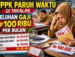 PPPK Paruh Waktu di Takalar Keluhkan Gaji Rp100 Ribu per Bulan
