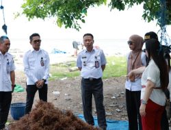 Takalar Bidik Pasar Global, LO Takalar–China Tinjau Rumput Laut hingga Sentra Jagung