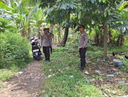 Digerebek Polisi, Arena Judi Sabung Ayam di Suppa Mendadak “Lenyap”