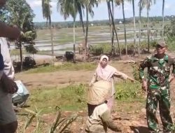 Tambang atau Cetak Sawah? Polemik di Cakura Menguji Ketegasan Camat Baru Polsel