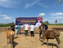 Achmad Daeng Se’re dan Fadel Achmad Sembelih Dua Sapi Qurban untuk Warga Takalar