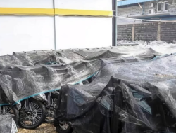 Nasib 21 Ribu Motor Listrik MBG Menggantung, Dudung Usul Pegawai SPPG Beli Lewat Cicilan