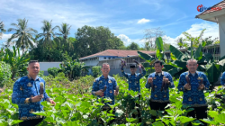 Panen Terong di Lapas Takalar, Dari Lahan Pembinaan Menuju Bekal Hidup Baru