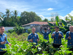 Panen Terong di Lapas Takalar, Dari Lahan Pembinaan Menuju Bekal Hidup Baru
