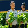 Panen Sawi Lapas Takalar, Warga Binaan Ditempa Mandiri Sekaligus Dukung Ketahanan Pangan Nasional