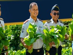 Panen Sawi Lapas Takalar, Warga Binaan Ditempa Mandiri Sekaligus Dukung Ketahanan Pangan Nasional